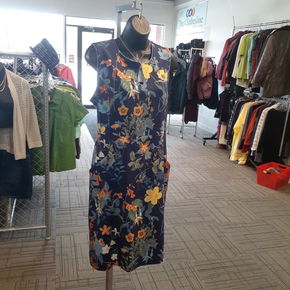 2 for $40 NWT Land's End Blue Dress. CA Size 14.